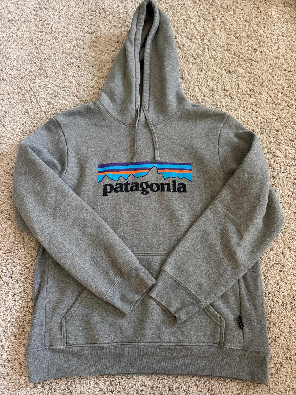 Patagonia Gray Crewneck Hoodie with Multicolor Mountain Logo